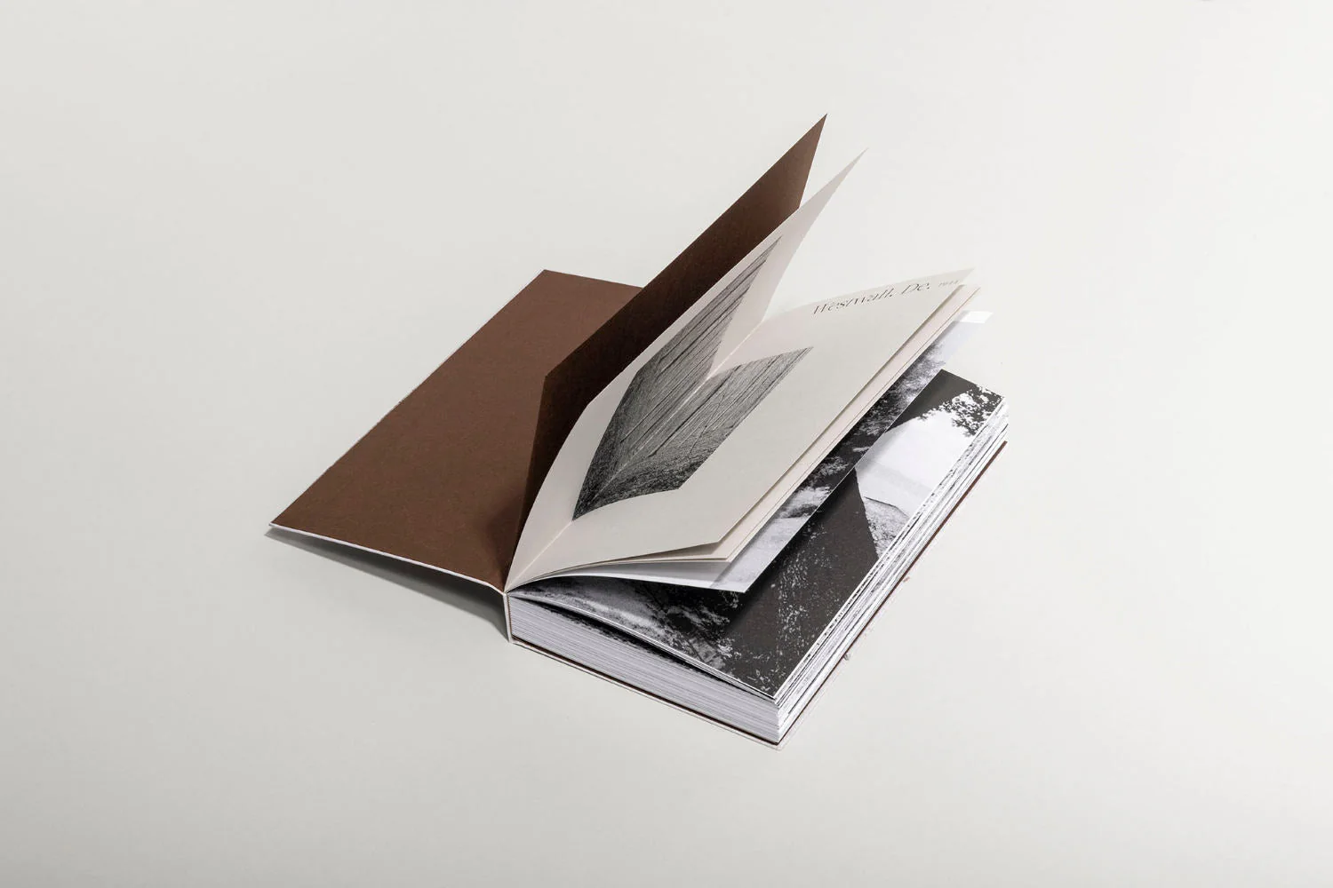 The soil the seeds by Sebastiaan and Emma Hanekroot - Image 2
