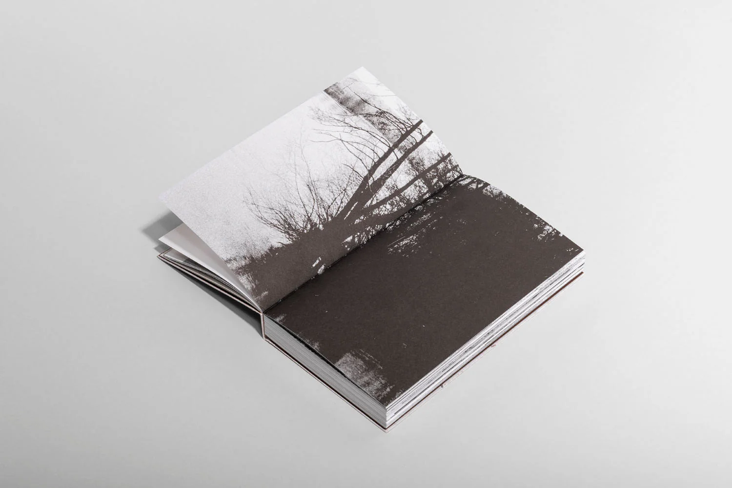 The soil the seeds by Sebastiaan and Emma Hanekroot - Image 3