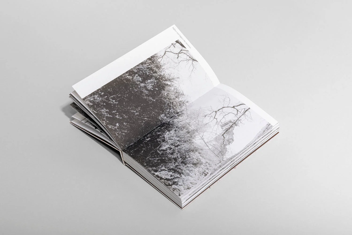 The soil the seeds by Sebastiaan and Emma Hanekroot - Image 4