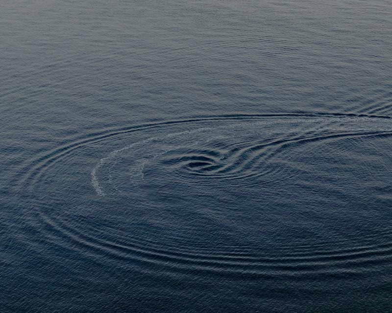 Thinking like an Island by Camilla Marrese & Gabriele Chiapparini - Image 6
