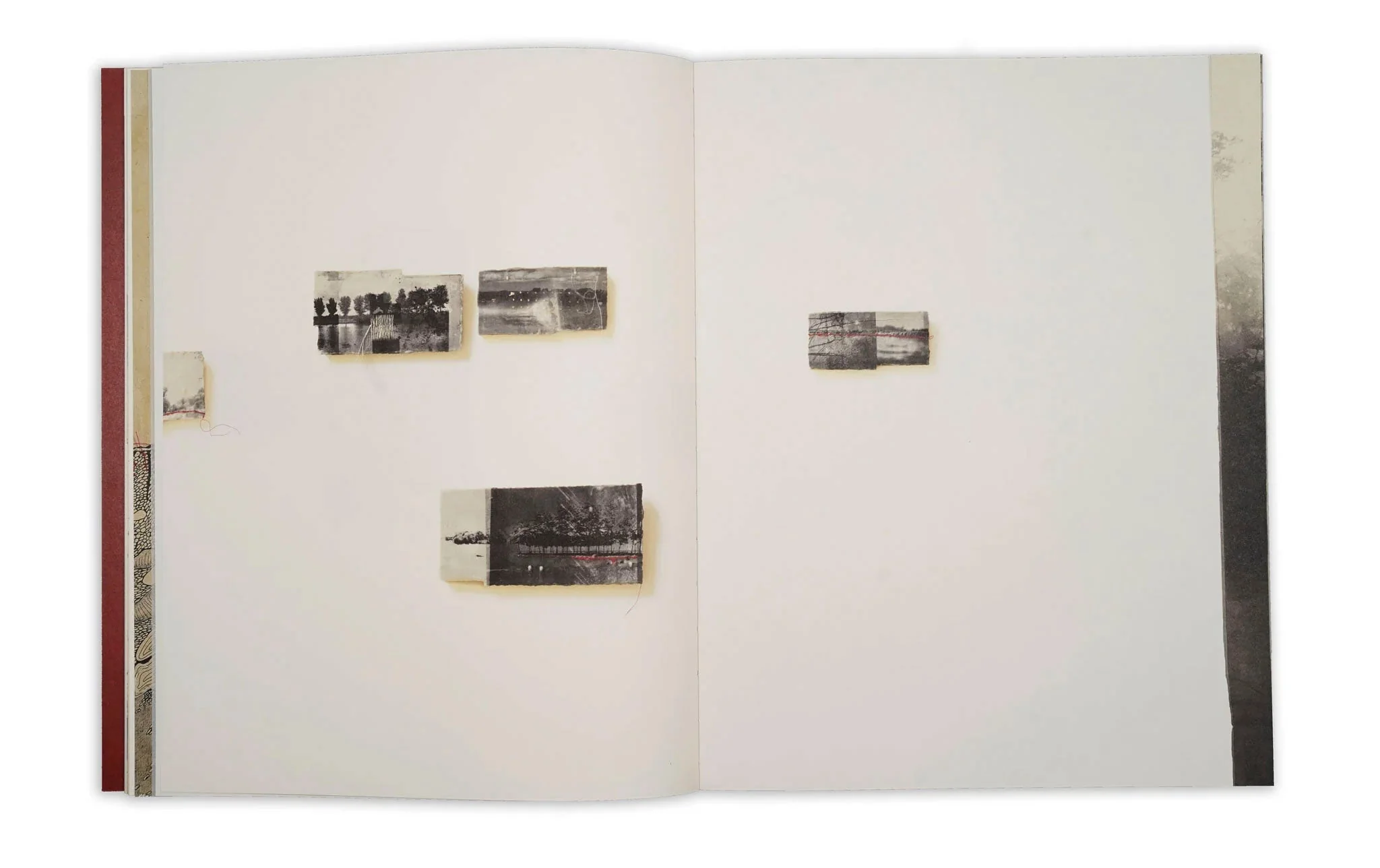 Thought Trails by Jackie Mulder - Image 11