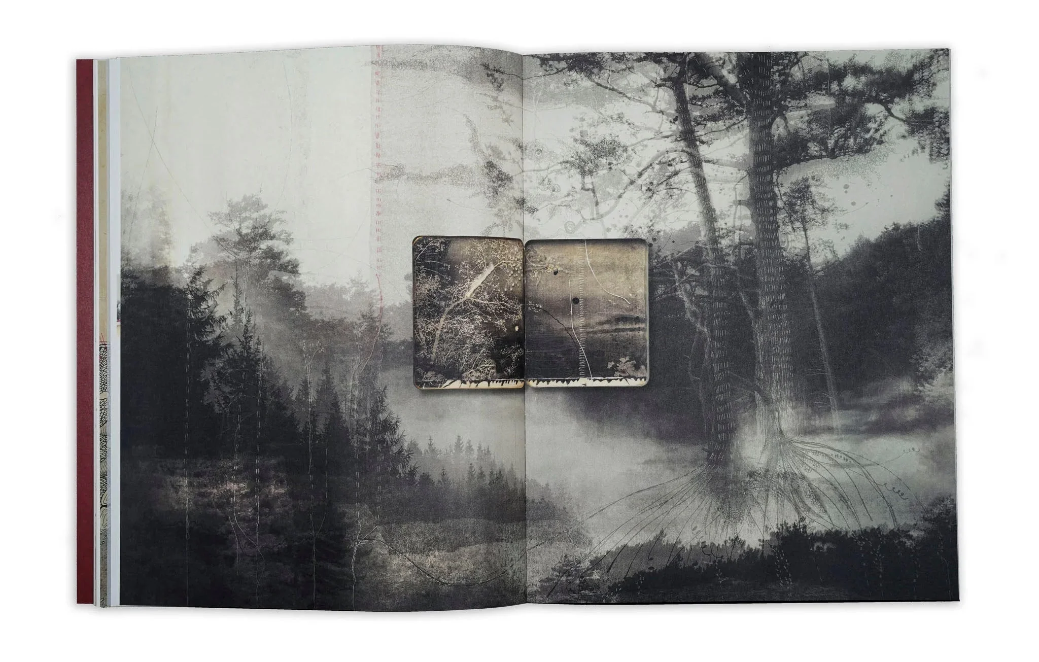 Thought Trails by Jackie Mulder - Image 12