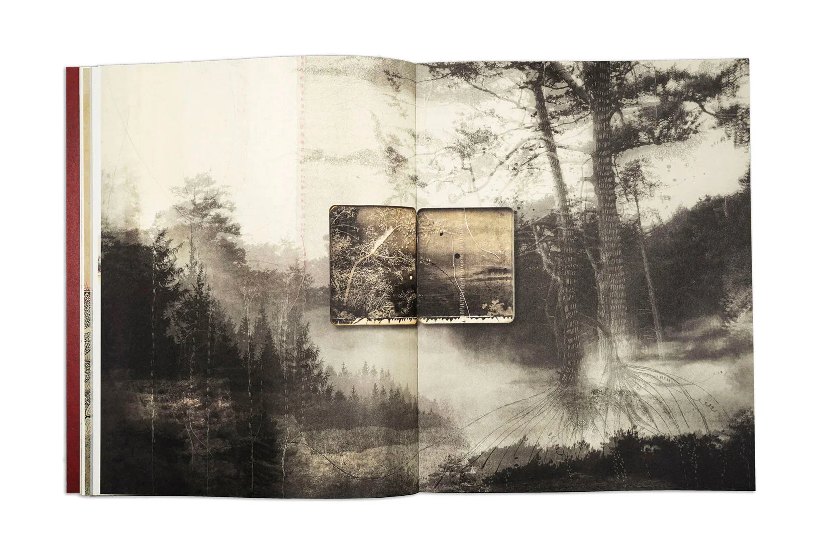 Thought Trails by Jackie Mulder - Image 2