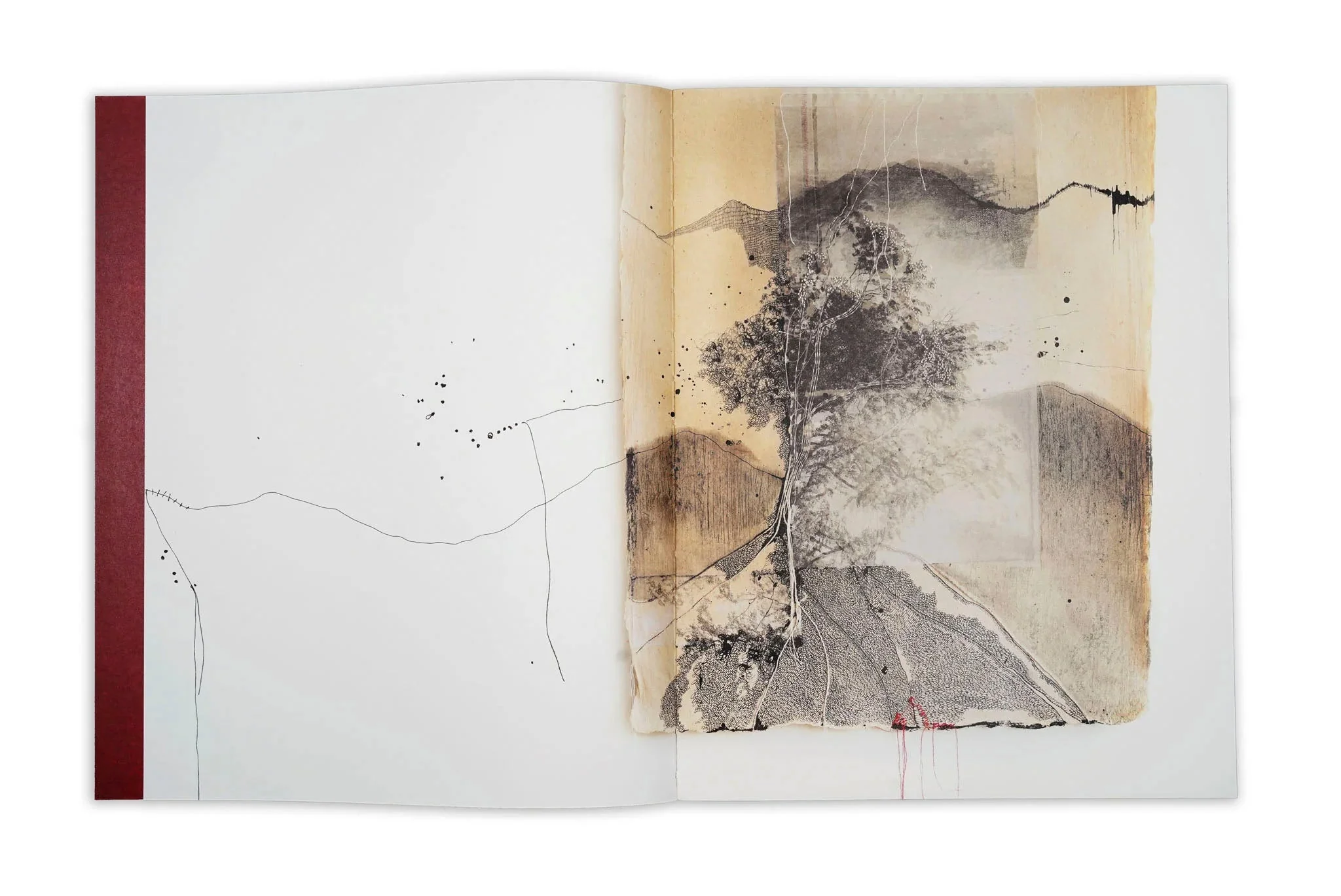 Thought Trails by Jackie Mulder - Image 3