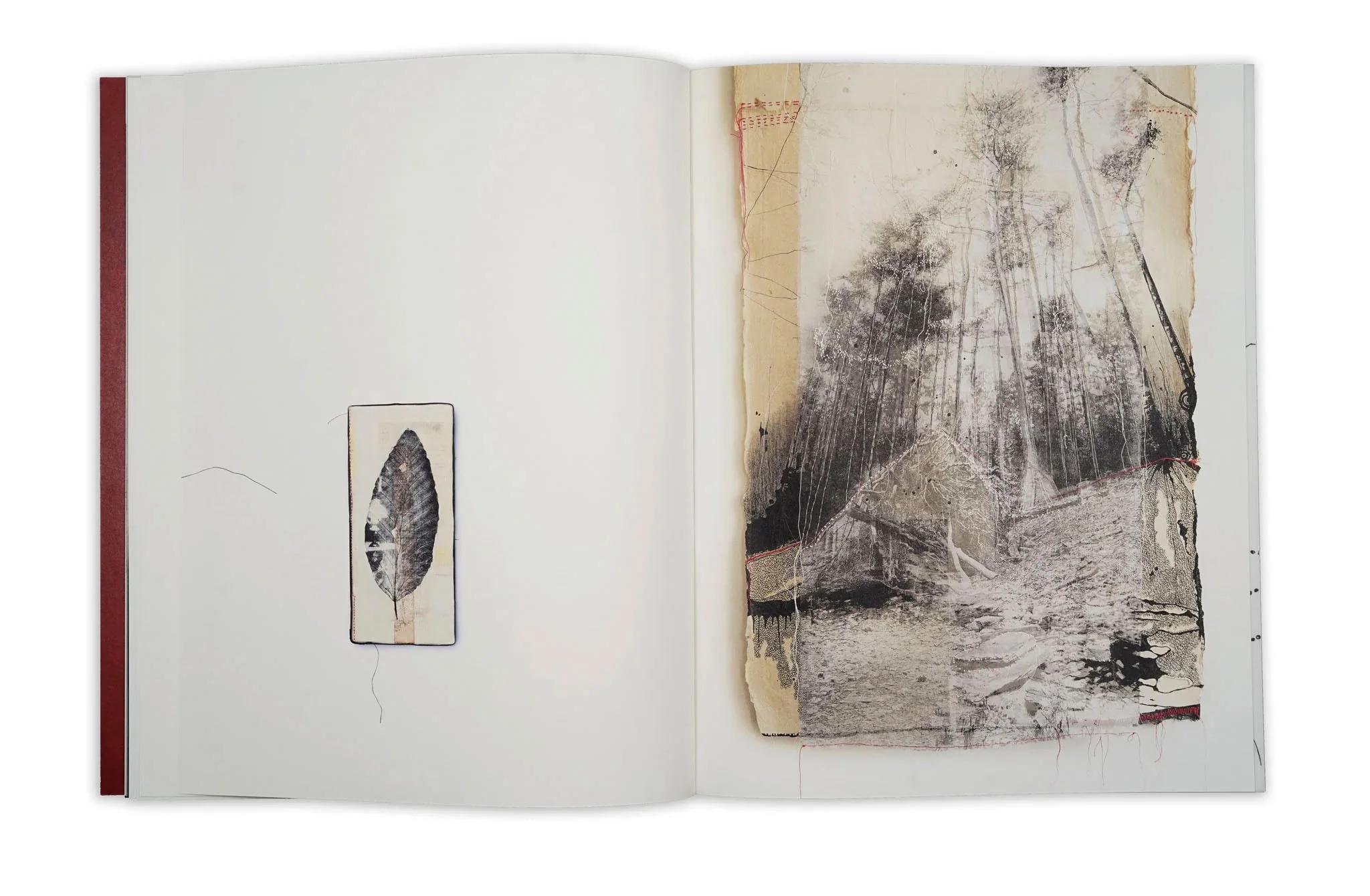 Thought Trails by Jackie Mulder - Image 8