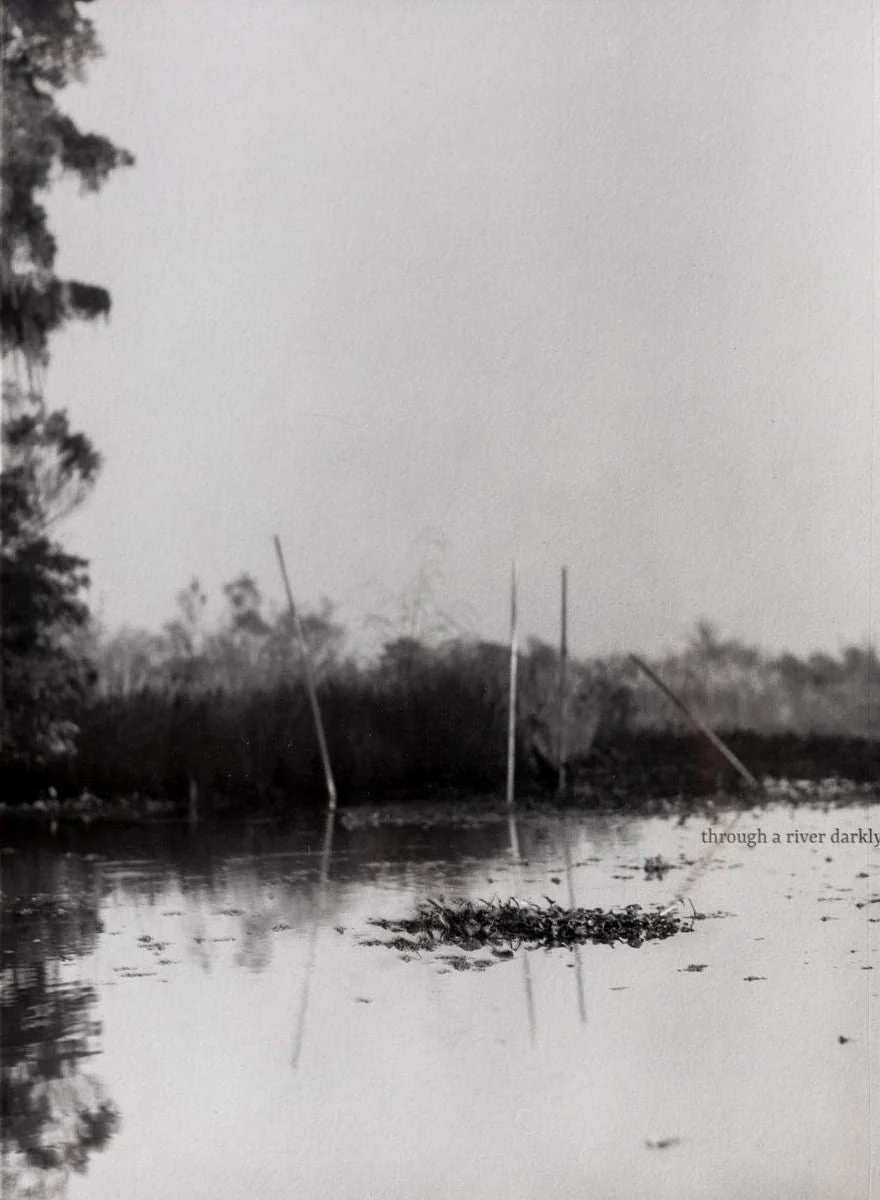 Through a River Darkly by Adrianna Ault