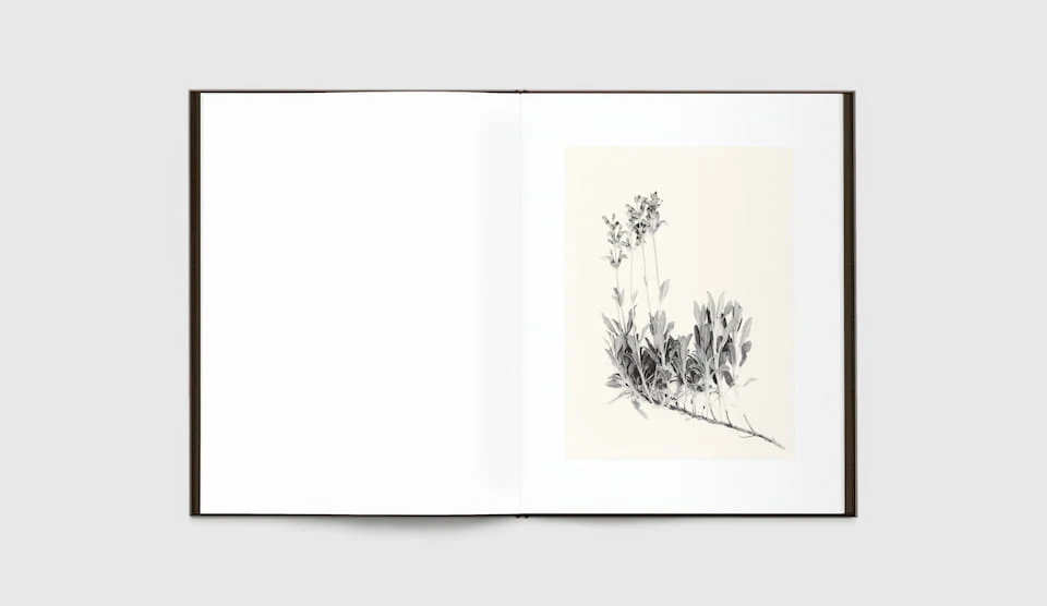 Time in Air, Time in Paper by Sachiko Morita - Image 2