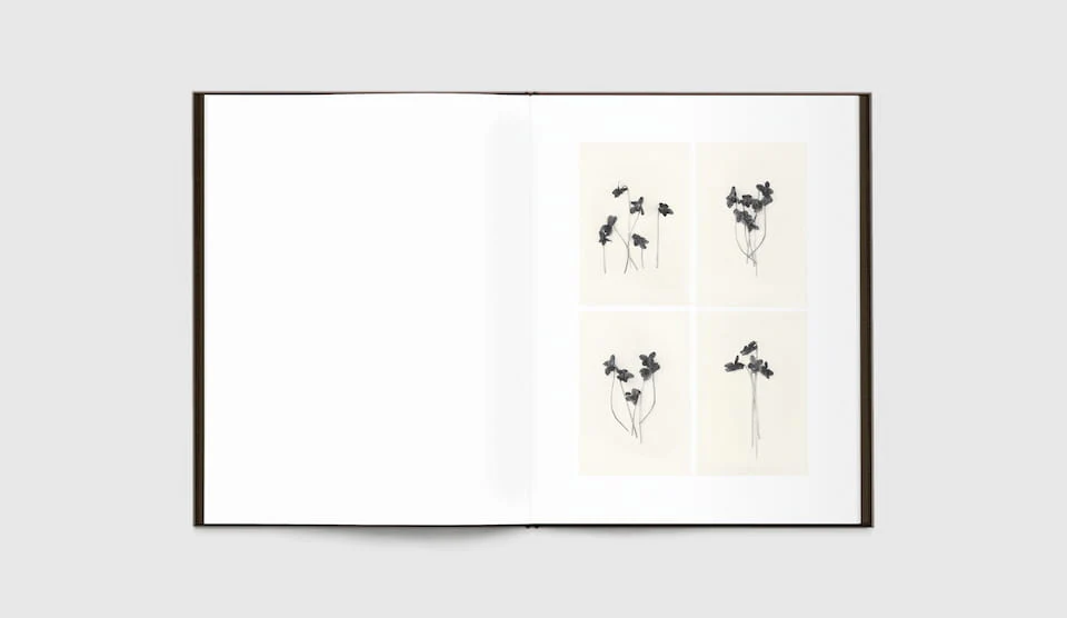 Time in Air, Time in Paper by Sachiko Morita - Image 4