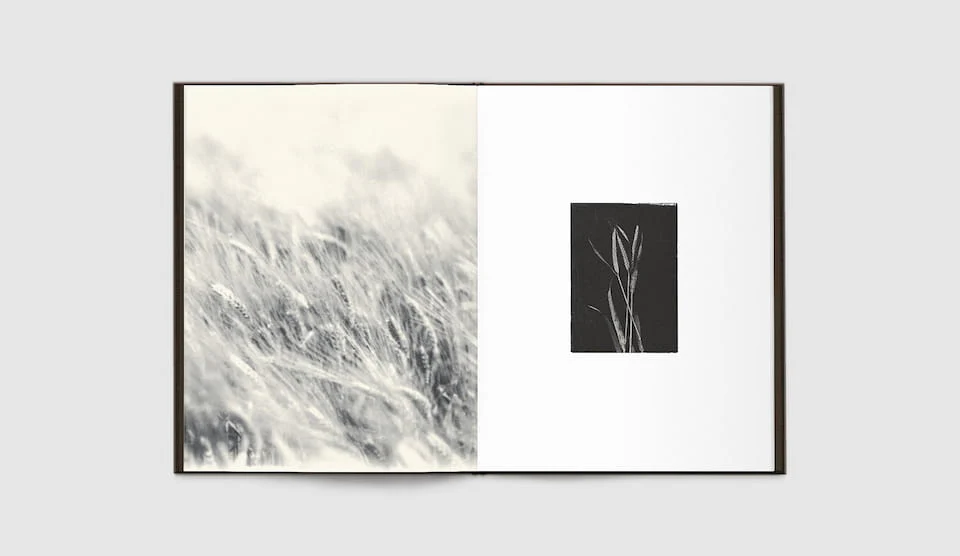 Time in Air, Time in Paper by Sachiko Morita - Image 5