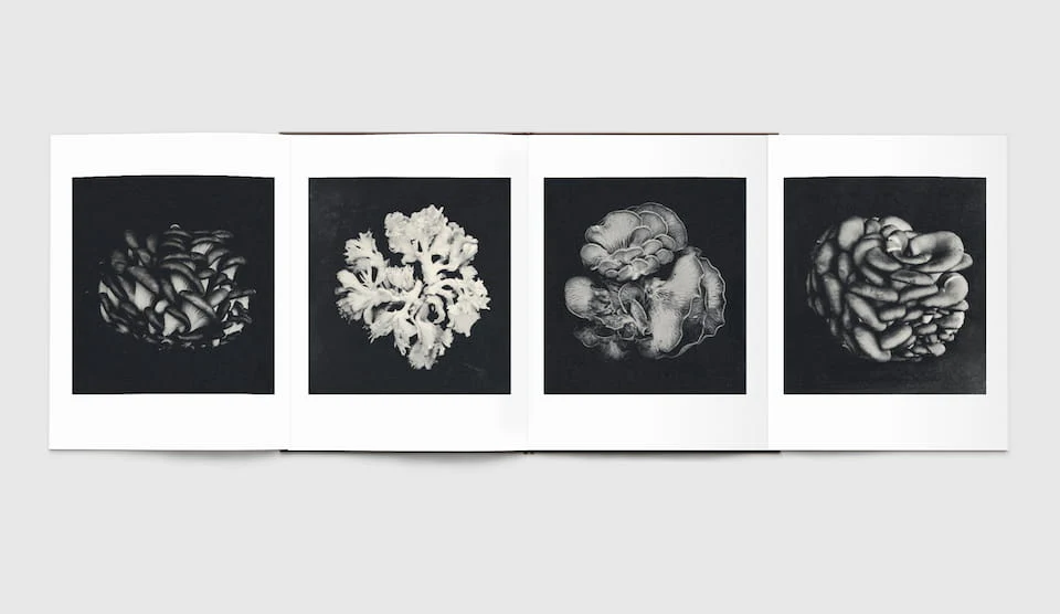Time in Air, Time in Paper by Sachiko Morita - Image 8