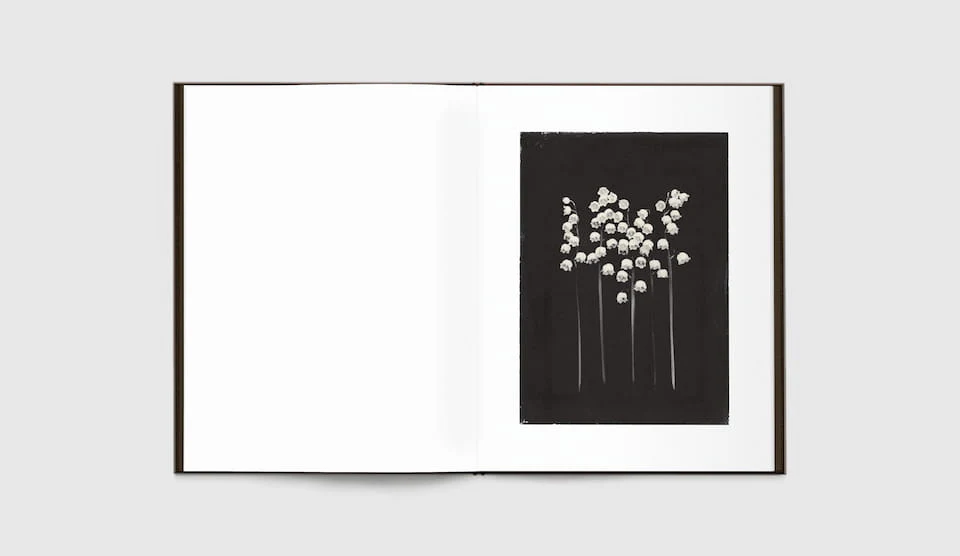 Time in Air, Time in Paper by Sachiko Morita - Image 9