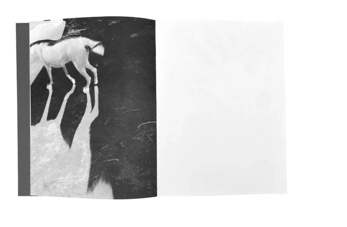 Tout en ce lieu me survivra by Alexandra Catiere - Image 2