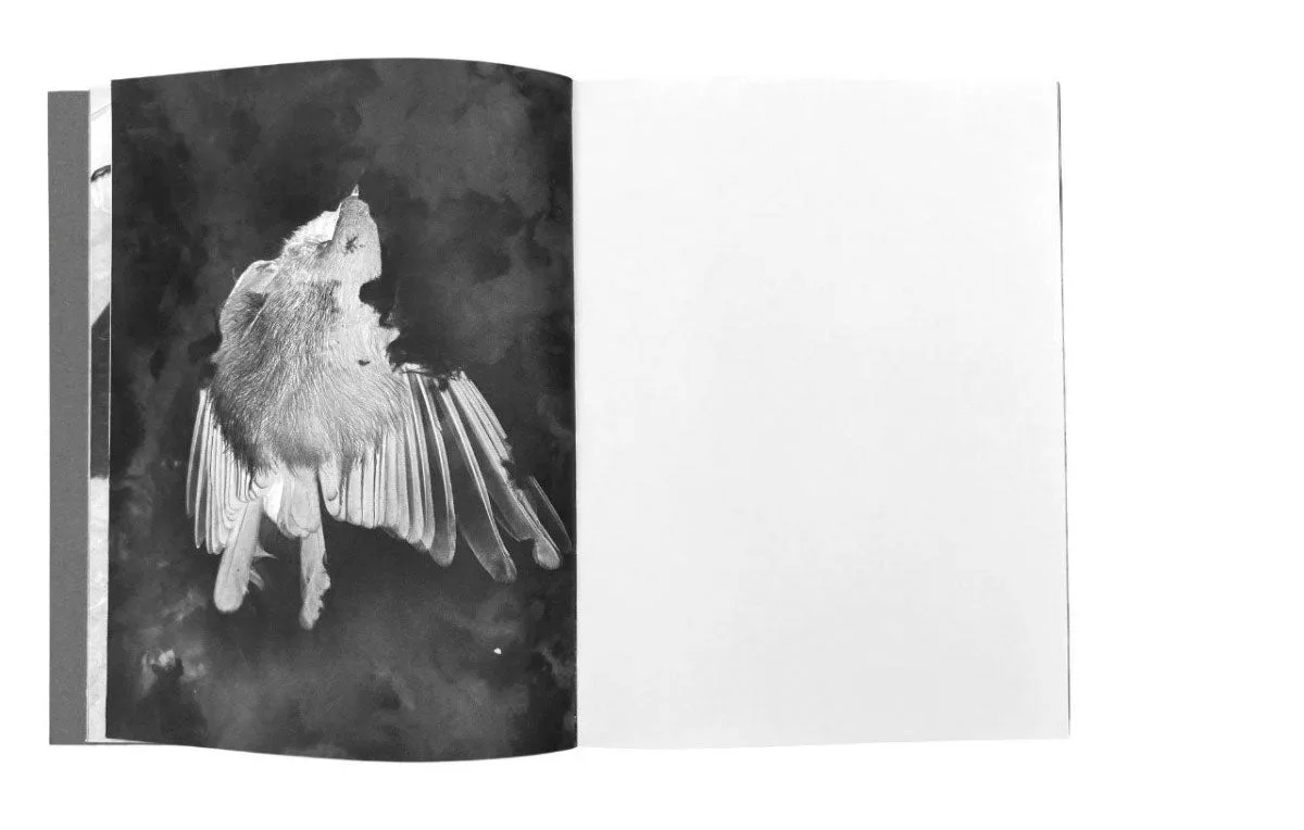Tout en ce lieu me survivra by Alexandra Catiere - Image 3