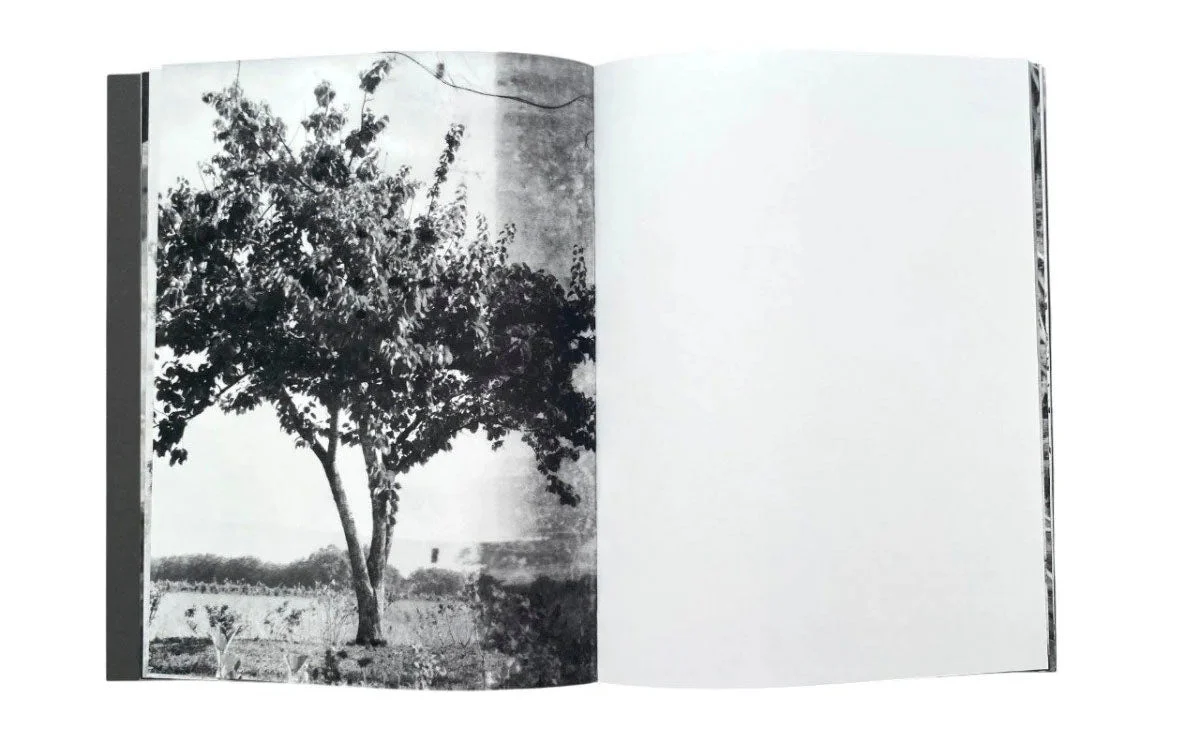 Tout en ce lieu me survivra by Alexandra Catiere - Image 7