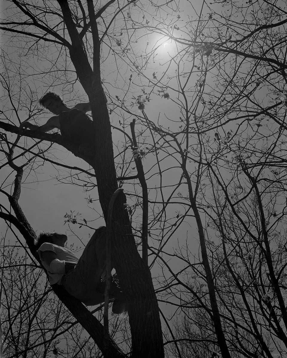 Twelve Acres by Henry O Head - Image 12