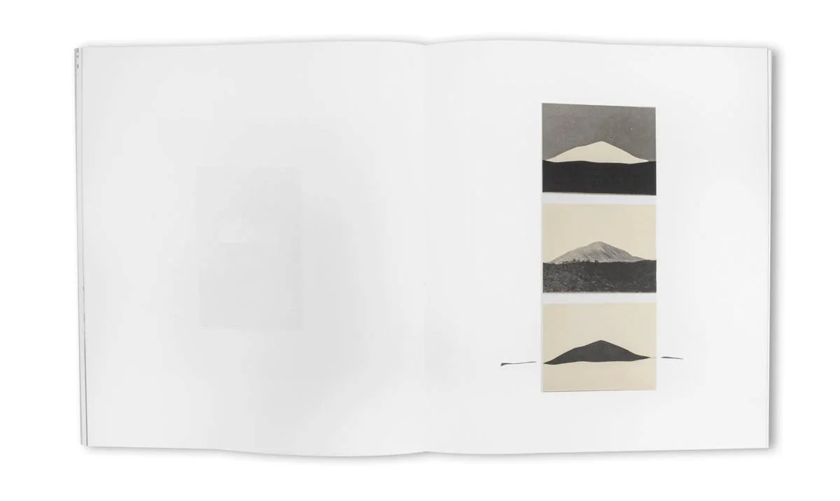 Understanding the landscape by Babs Decruyenaere - Image 9