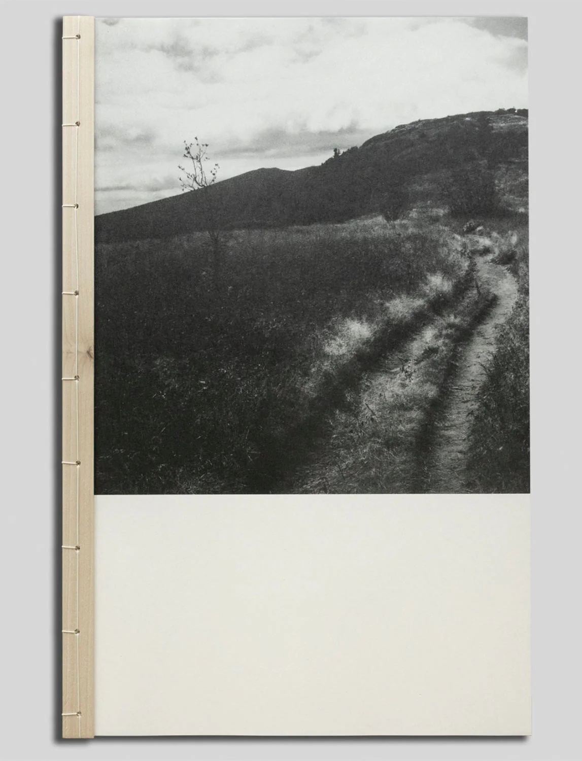 Valleys by Harrison Miller
