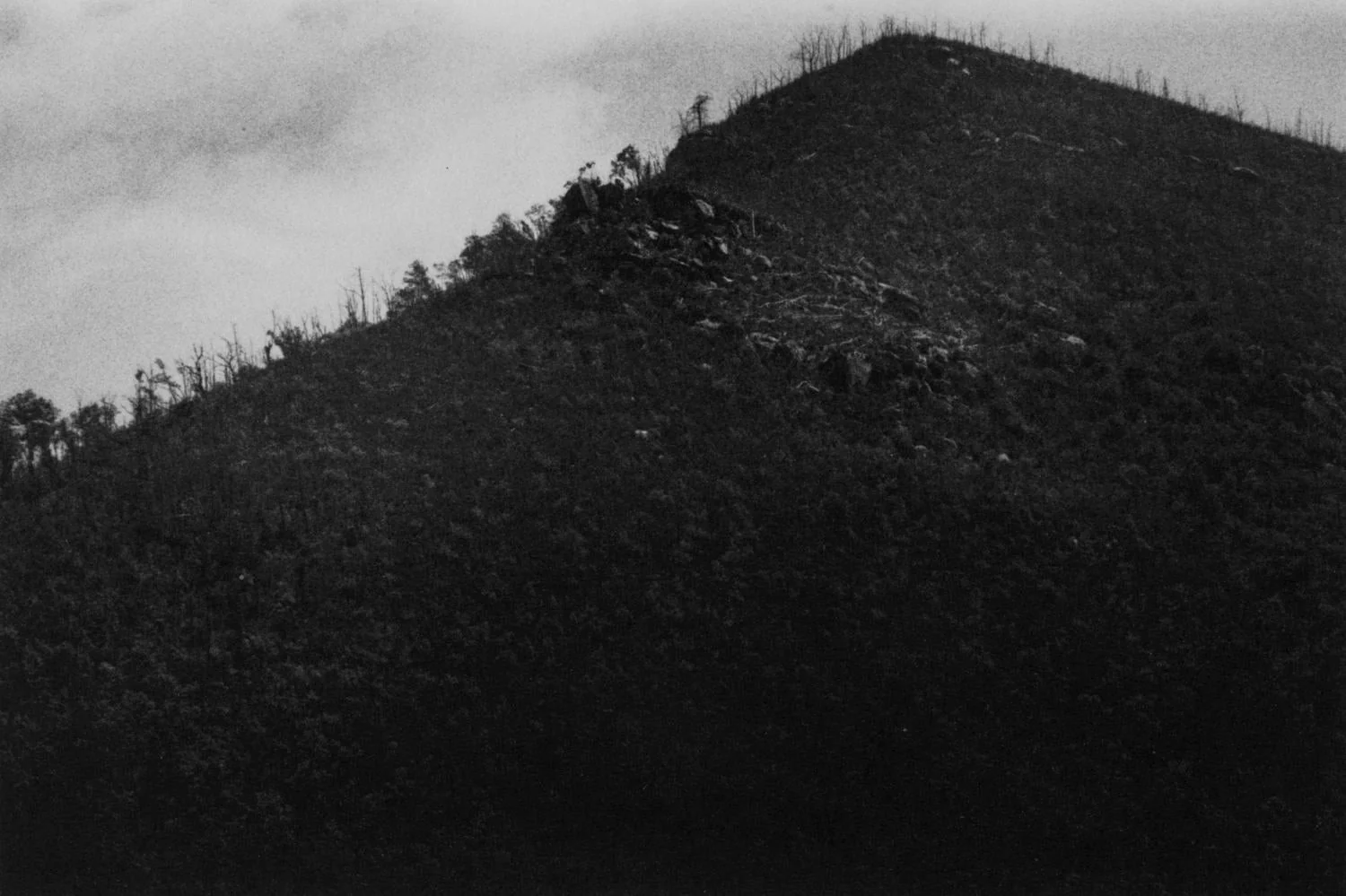 Valleys by Harrison Miller - Image 4