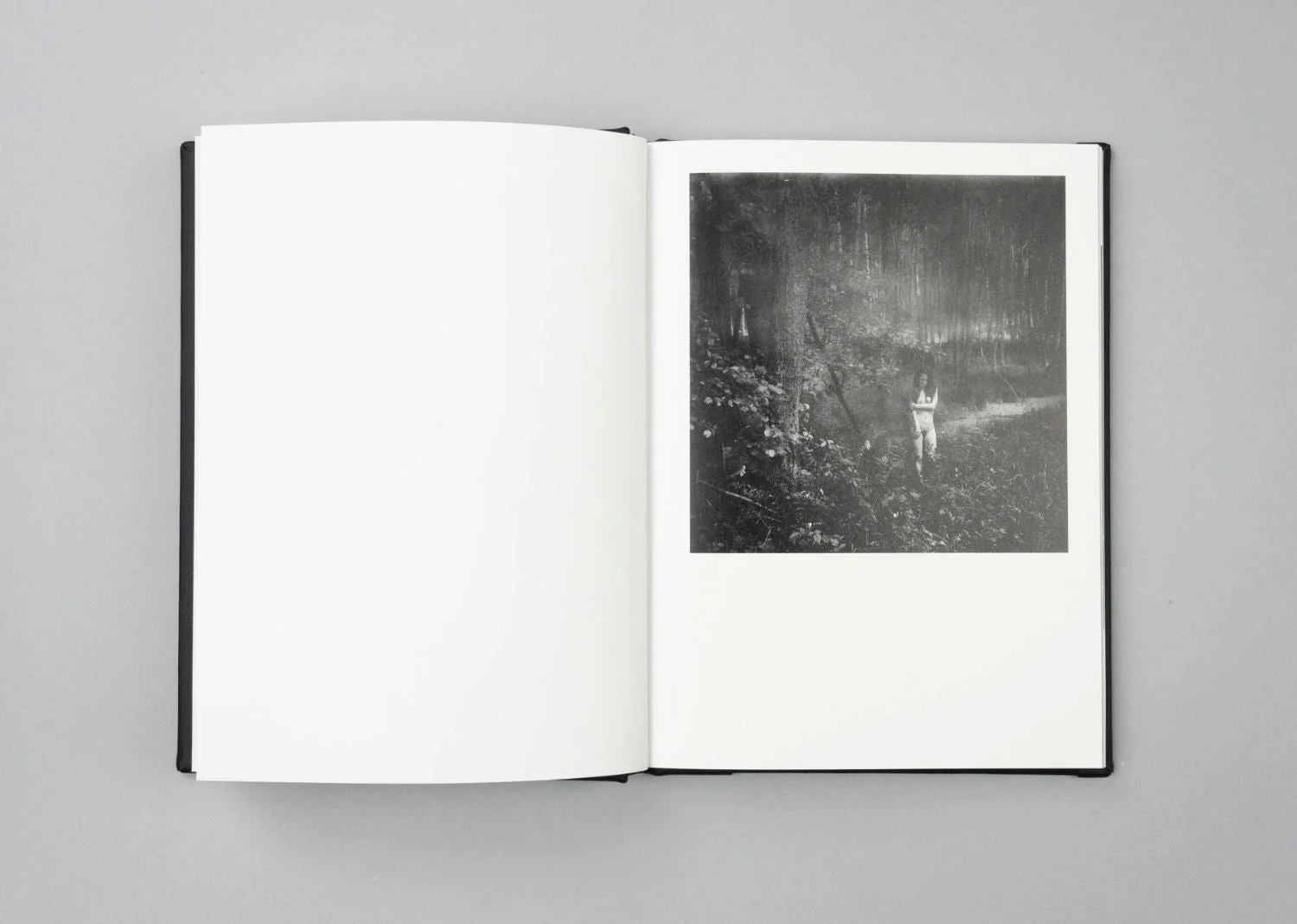 Vanishing by Anna Arendt - Image 4
