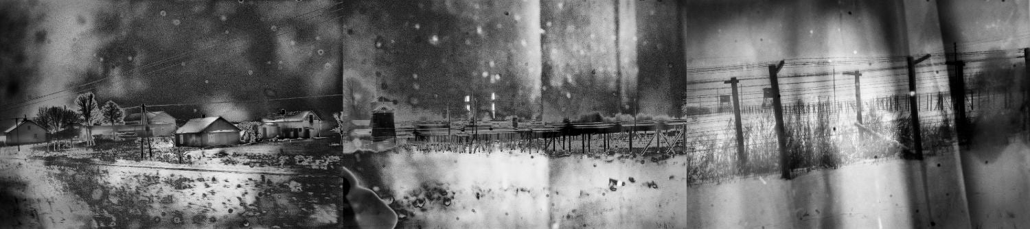 Vanishing by Anna Arendt - Image 6