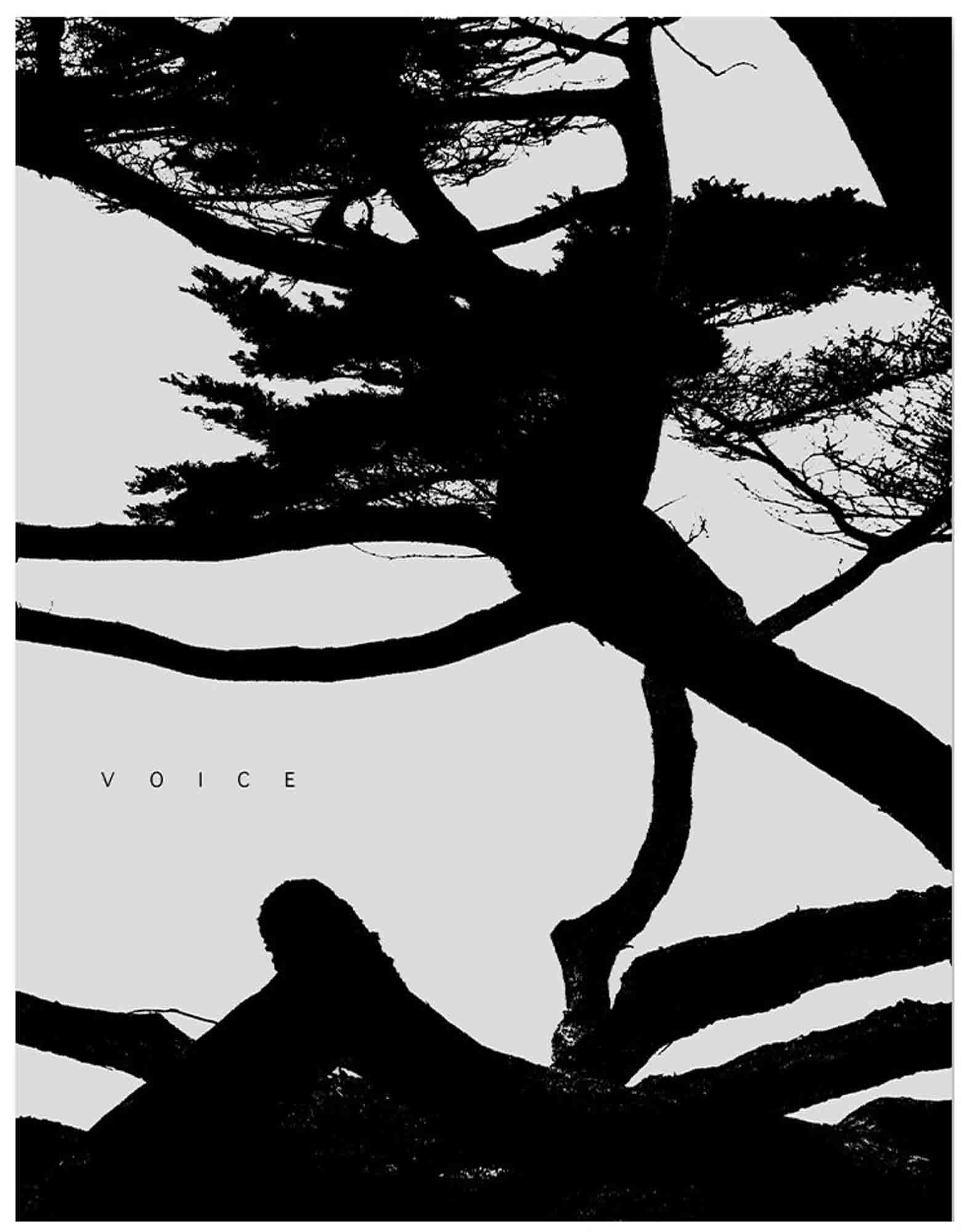 Voice by Jungjin Lee