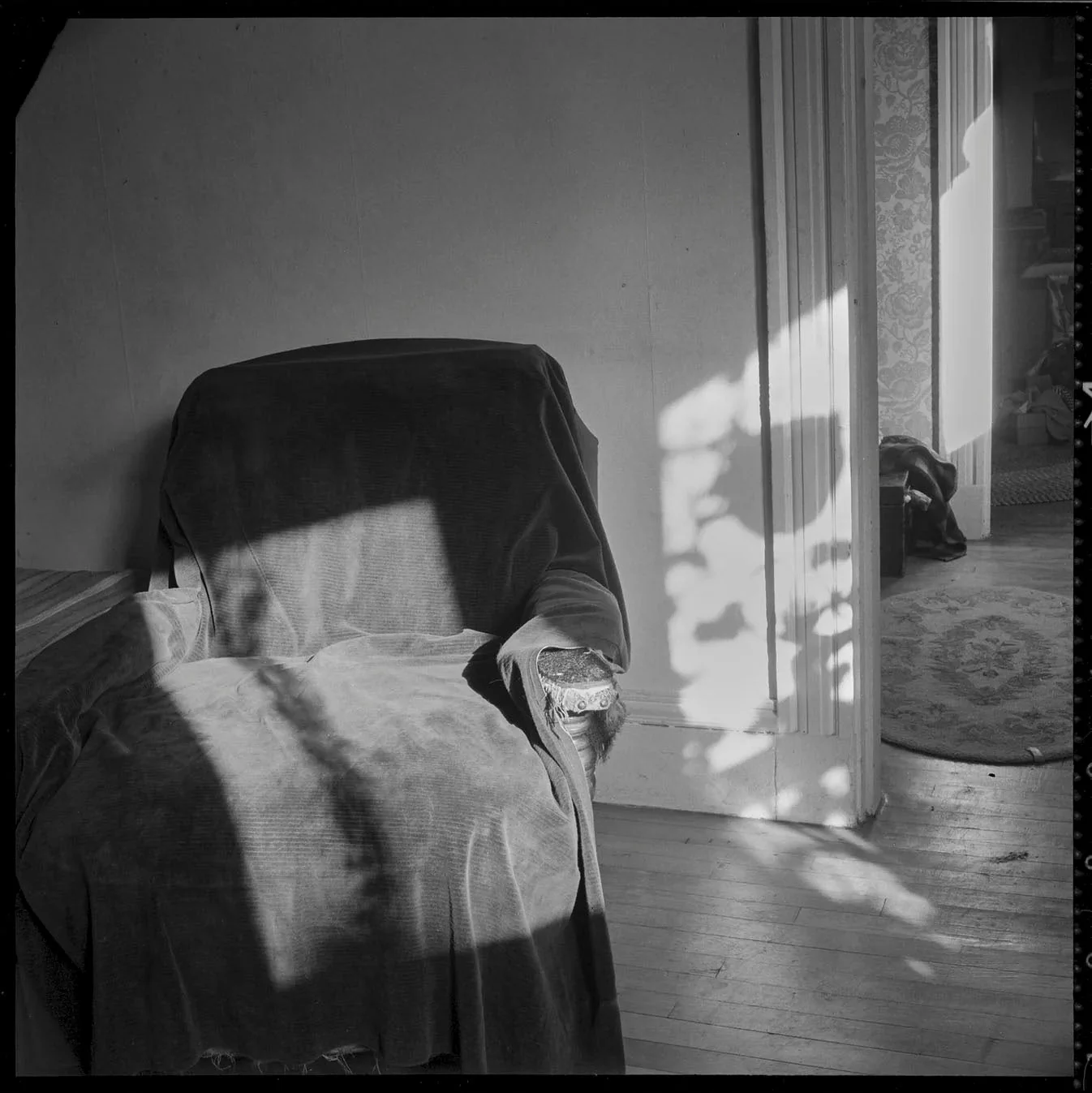 Where the Light Came in by Judith Black - Image 2