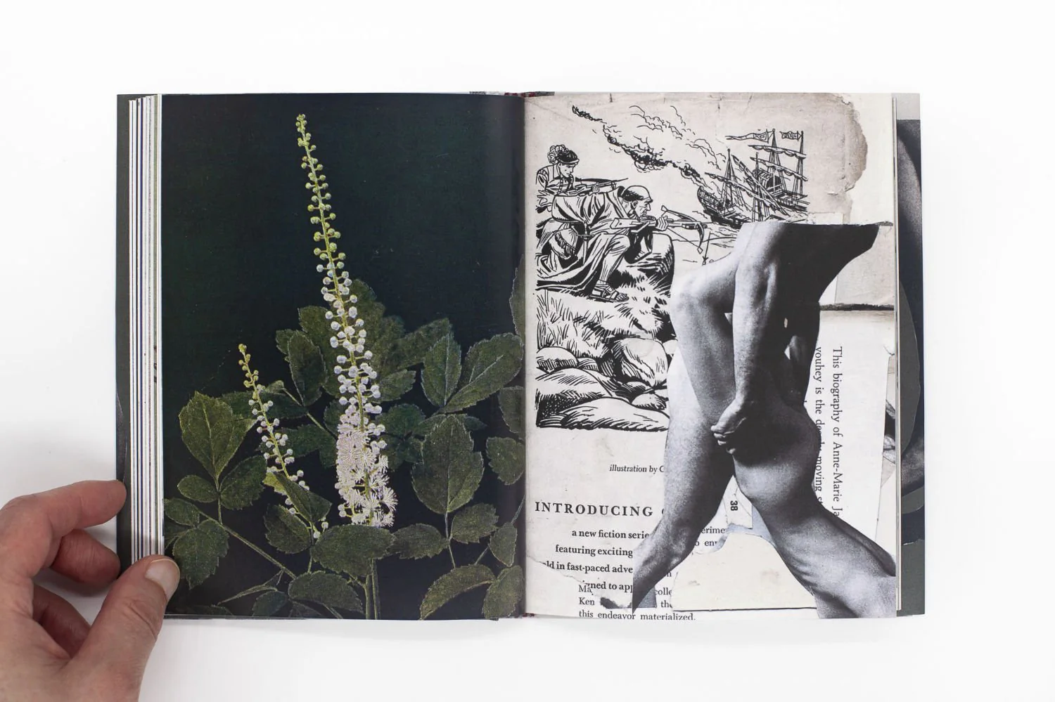Wild Flowers by James Gallagher - Image 11