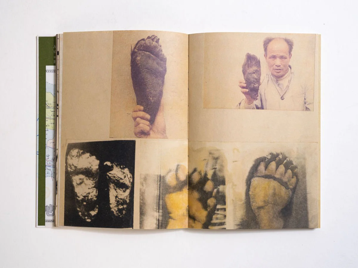 Wildman Fever by Ruben Lundgren - Image 6