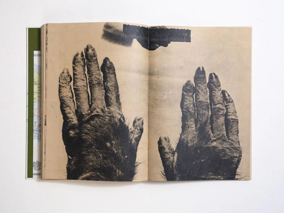 Wildman Fever by Ruben Lundgren - Image 9