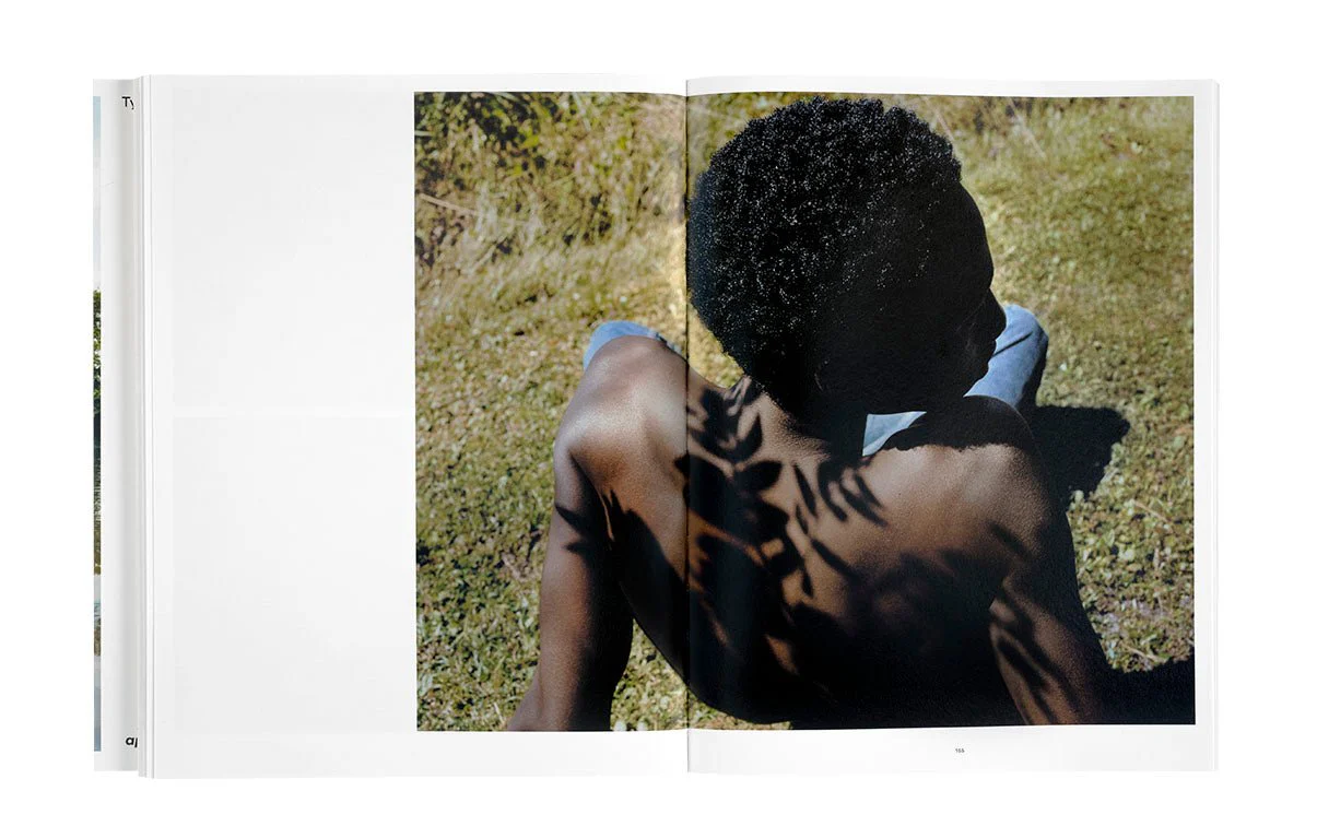 Wish This Was Real by Tyler Mitchell - Image 3