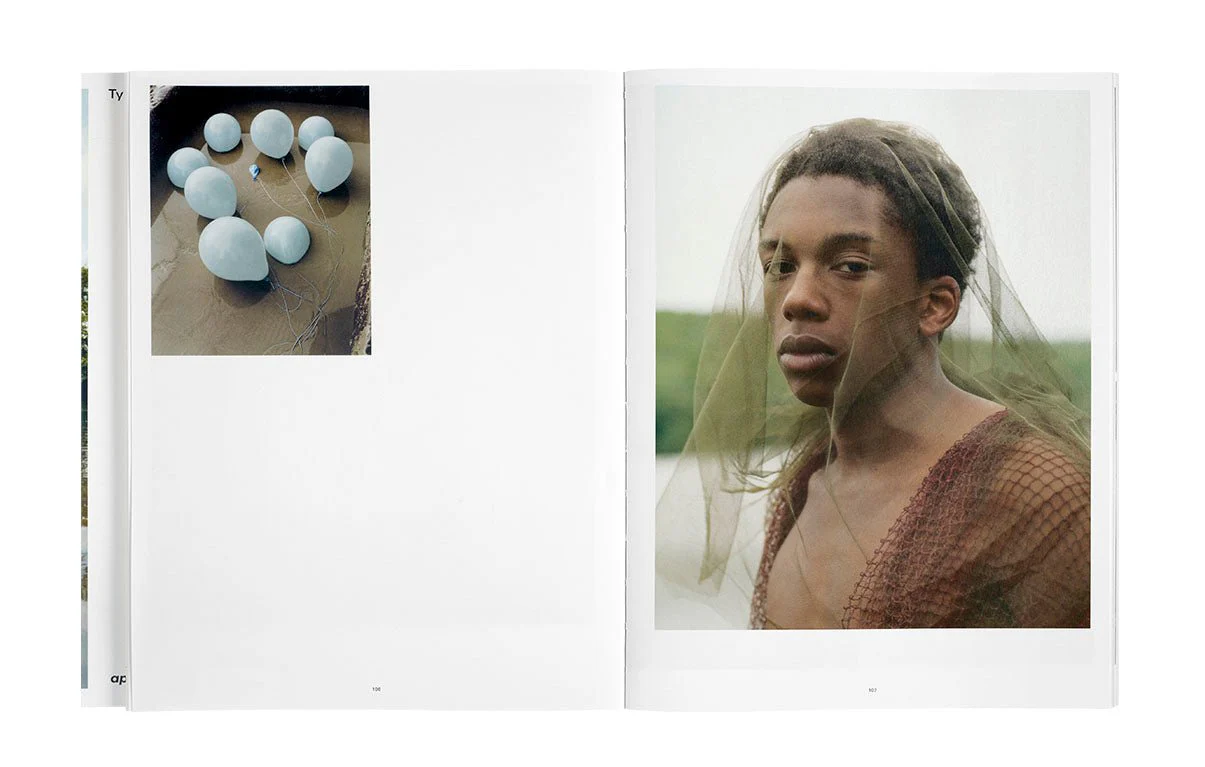 Wish This Was Real by Tyler Mitchell - Image 5