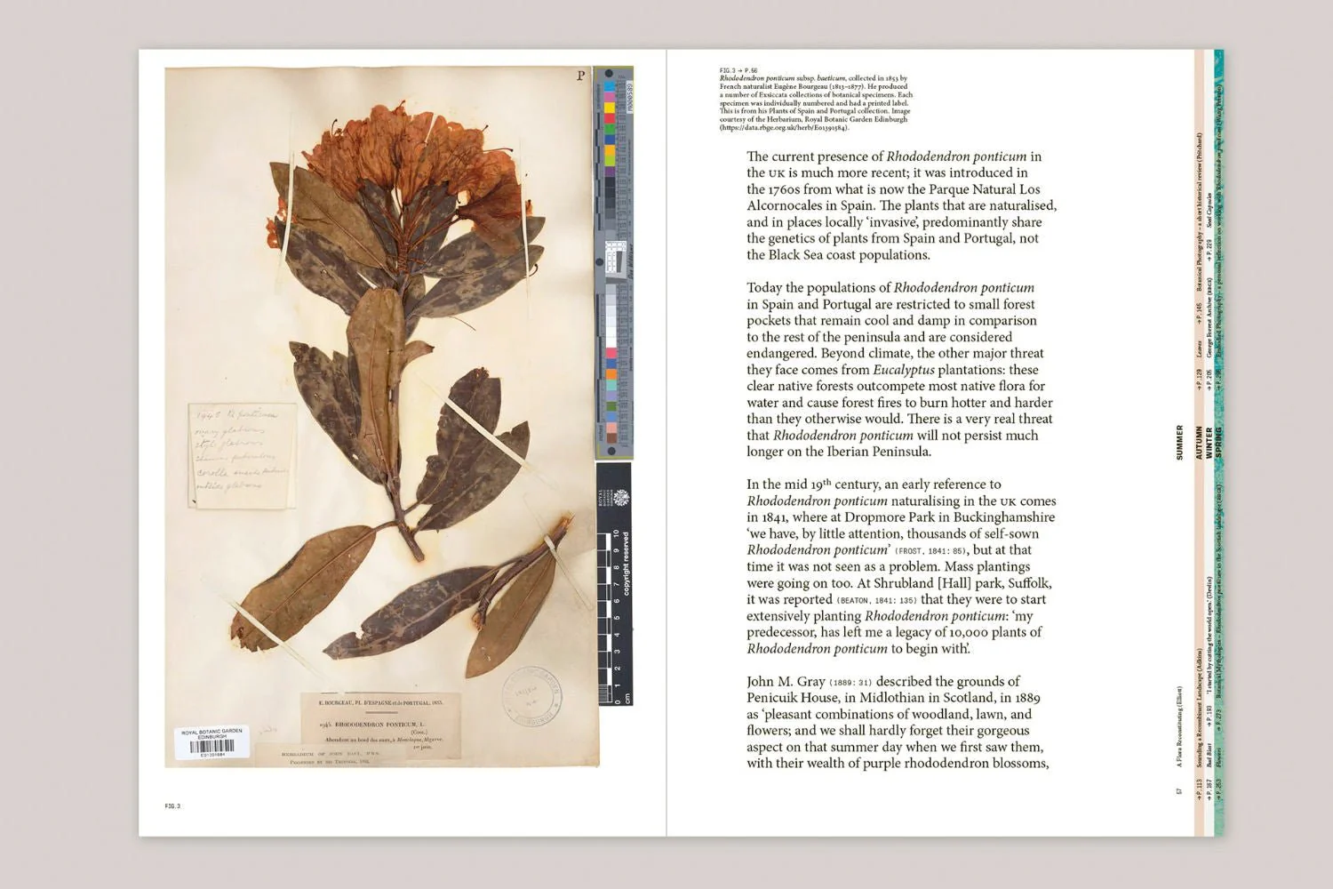 With Love. From an Invader. – Rhododendrons, Empire, China and Me by Yan Wang Preston - Image 2