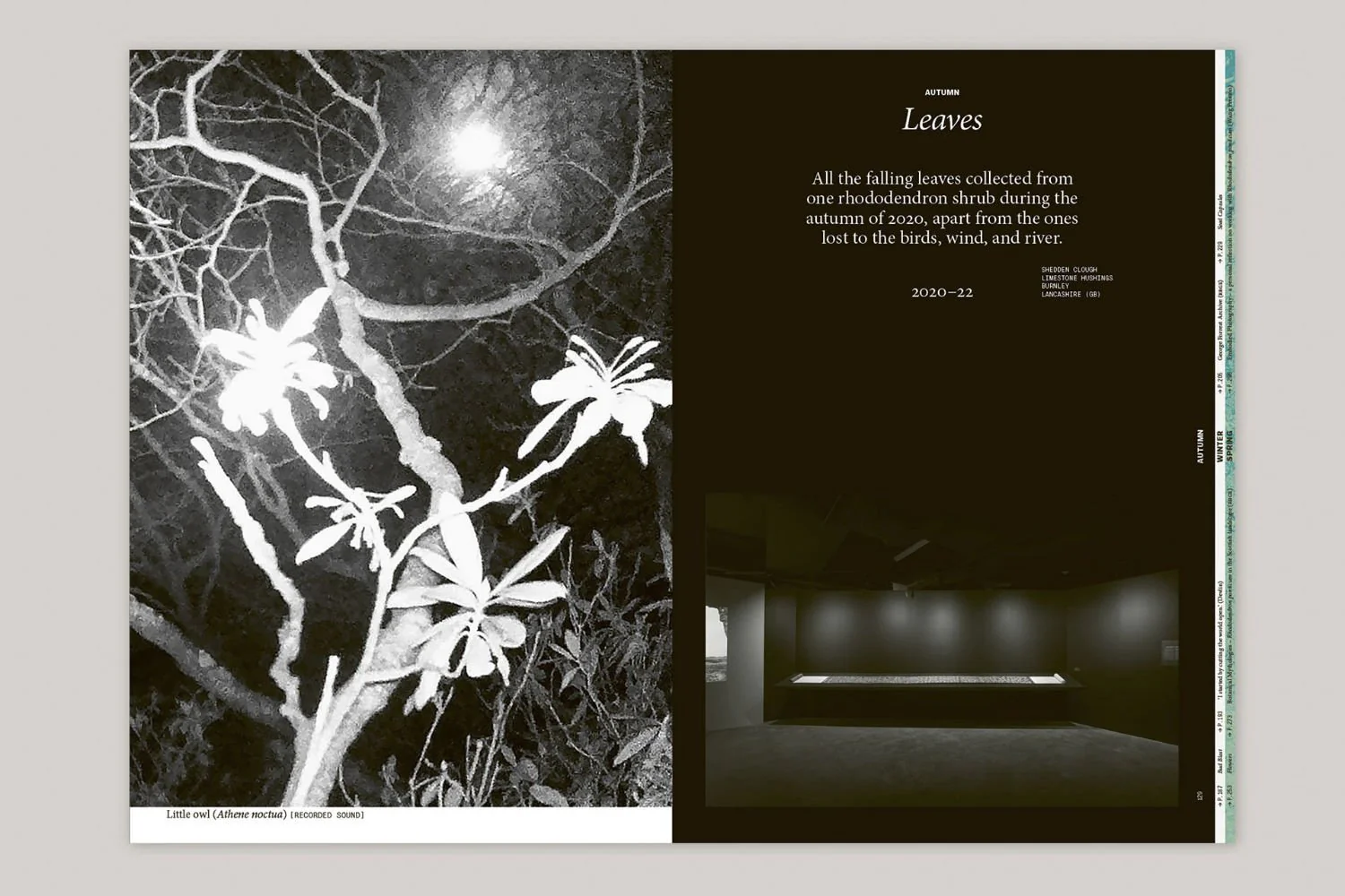 With Love. From an Invader. – Rhododendrons, Empire, China and Me by Yan Wang Preston - Image 5
